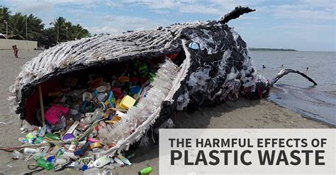 Harmful Effects Of Plastic Bags The Major Cause Of Environmental
