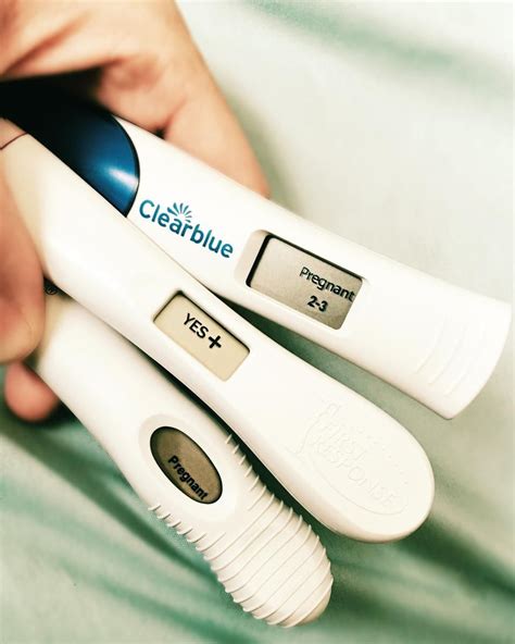 How Long Does It Take To Show A Pregnancy Test Pregnancywalls