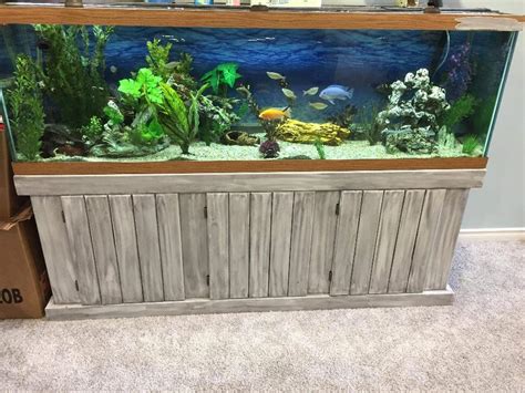 Beautiful 125 Gallon Fish Tank Aquarium North Regina Regina