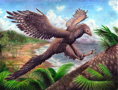 mewarnai gambar dinosaurus archaeopteryx mewarnai gambar