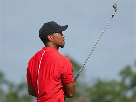 Some Positives Some Negatives Finding The Middle Ground On Tiger