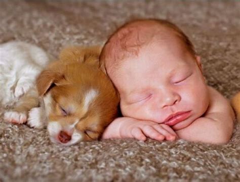 Puppy And Baby