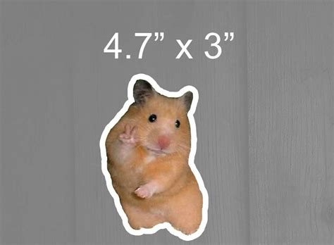 Peace Sign Hamster Meme Cute Adorable Funny Sticker Vinyl Sticker Car