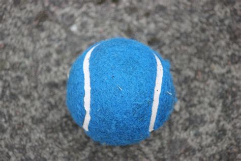 Blue Tennis Ball Free Stock Photo Public Domain Pictures