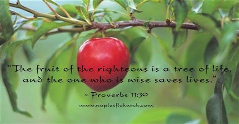 Every tree that bringeth not forth good fruit is hewn down, and cast into the fire. 364 best Biblical Verses & Quotes images on Pinterest ...