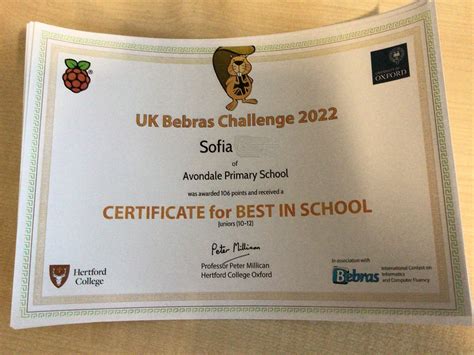 Bebras Challenge Results