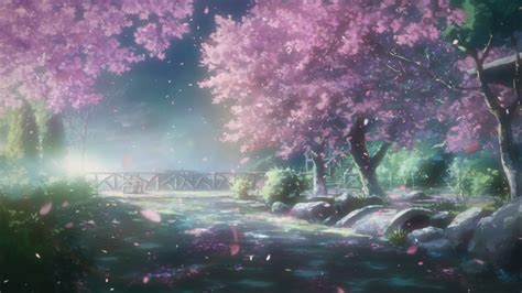 Cherry Blossom Tree Anime Background Tayler Pitts