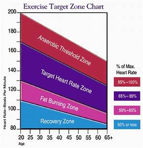 Weight Loss Exercise Heart Rate Bmi Formula