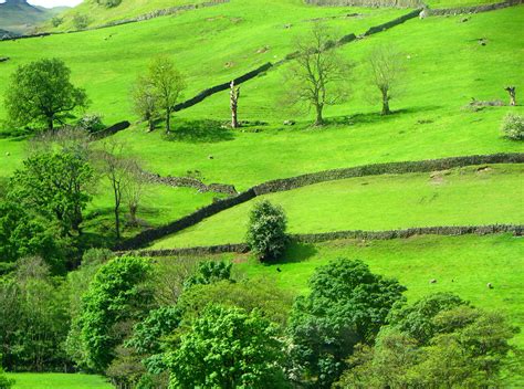 Green Pastures Lake District England Sandra Flickr