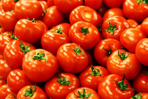 Tomatoes Wallpapers And Images Wallpapers Pictures Ph