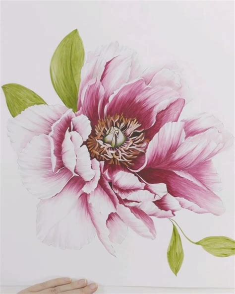 Floral Watercolor Paintings Botanical Painting Oil Painting Flowers