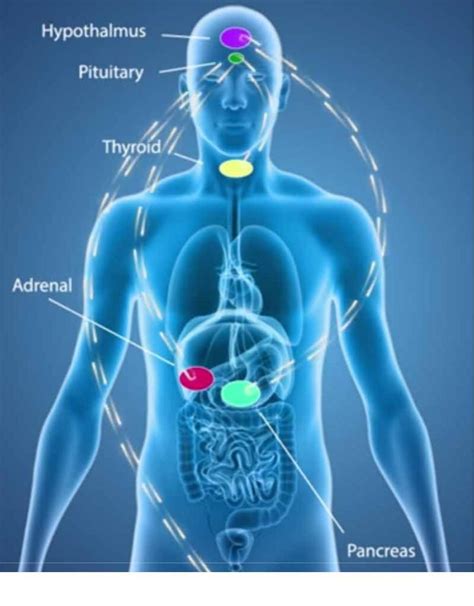 Heres What You Should Know On How Testosterone Replacement Therapy Works