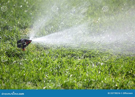 Watering The Grass Stock Photo Image Of Green Grass 33778516