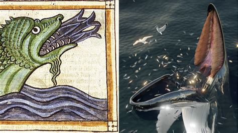 Terrifying Sea Monster Hafgufa Described In Medieval Norse