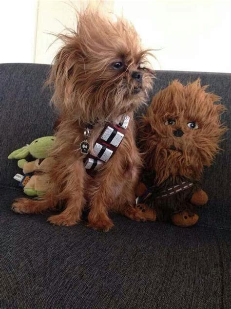 No Words Needed Chewbacca Dog Pet Costumes Dogs