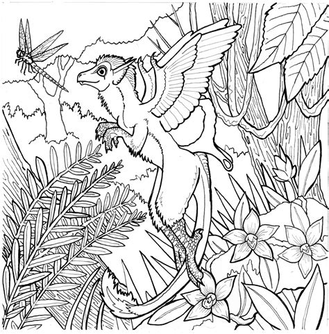 Free Rainforest Coloring Pages At Free