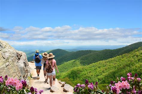 15 Best Asheville Hiking Trails Near The City Waterfalls Blue Ridge