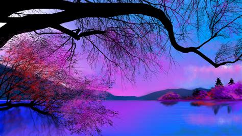 Fond Décran Ciel Eau Atmosphère Violet Natural Landscape Monde