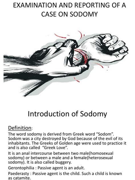 Sodomy New Pdf Rectum Anal Sex