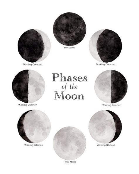 Phases Of The Moon Print For Both The Northern And Southern Etsy New