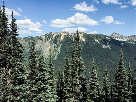 View Of Expansive Mountains And Forest North Cascades Wa Del