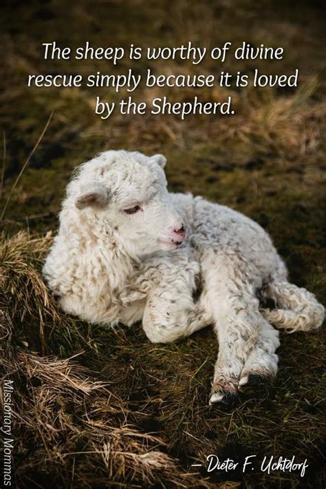 Pin By Laura Guest On Carpe Diem Church Quotes The Good Shepherd