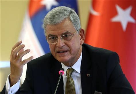 Turkish EU Minister Hints At Amending Criticized Homeland Security Bill
