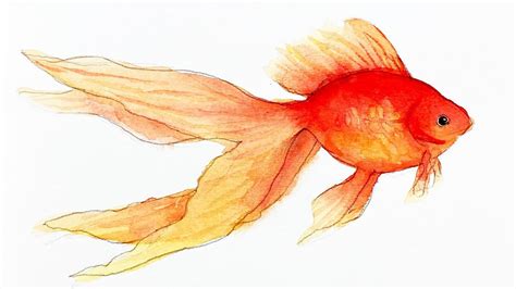 Relaxing Watercolor How To Draw And Paint A Goldfish For Beginners