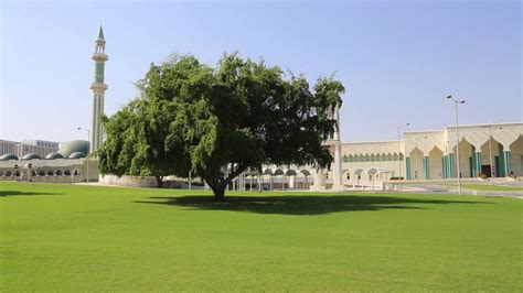 Qatar Doha Palais Royal Qatar Doha Royal Palace Youtube