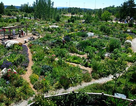 Best Cities For Urban Gardening You Decide Urban Gardens
