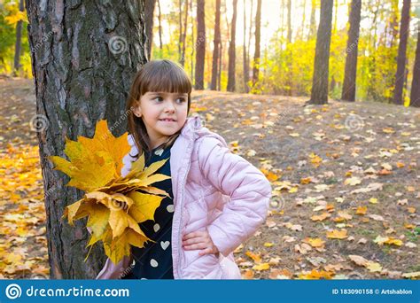 Autumn Outdoor Portrait Of A Child With Maple Leaves Plays In The Park