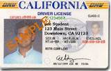 Temporary Driver License California Insurance Pictures