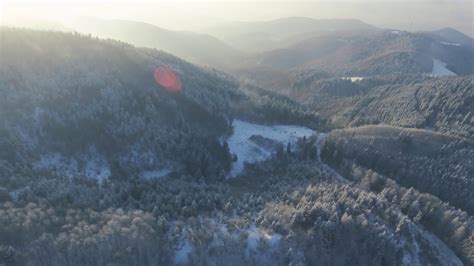 Aerial View Of Coniferous Forest In Winter Youtube