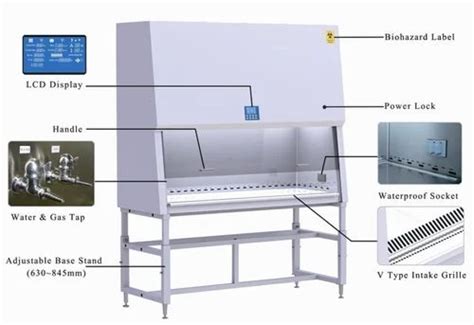 Biosafety Cabinet Labelled Diagram Resnooze Com