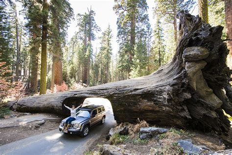 Sequoia National Park And Memorial Day Ph