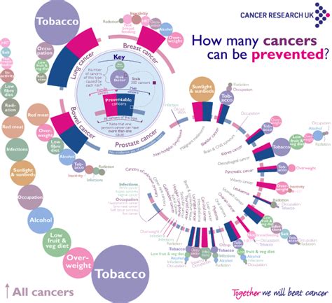 Adopting Healthier Lifestyles Could Prevent 40 Of Cancers Alcohol