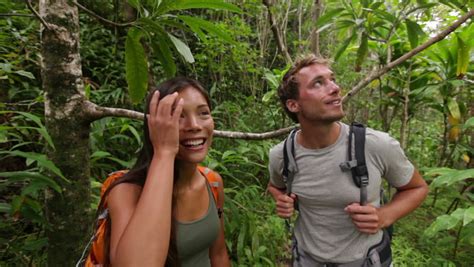 Hiking Hikers Couple Walking In Rain Forest Jungle Trekking Couple On Trek Through Dense