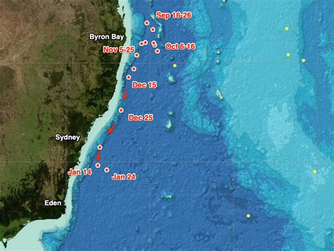 Analysis: Intrusion of the East Australian Current | Swellnet Analysis ...