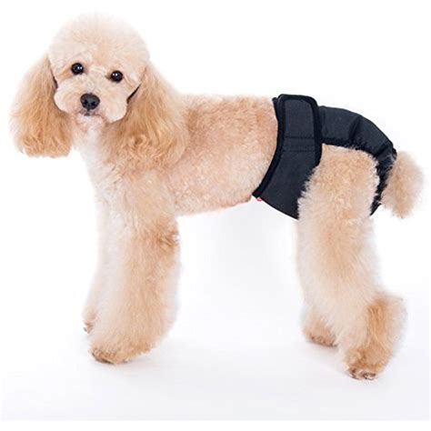 Interested in trying your hand at diy diapers for your pooch? Alfie Pet by Petoga Couture - Max Diaper Dog Sanitary ...