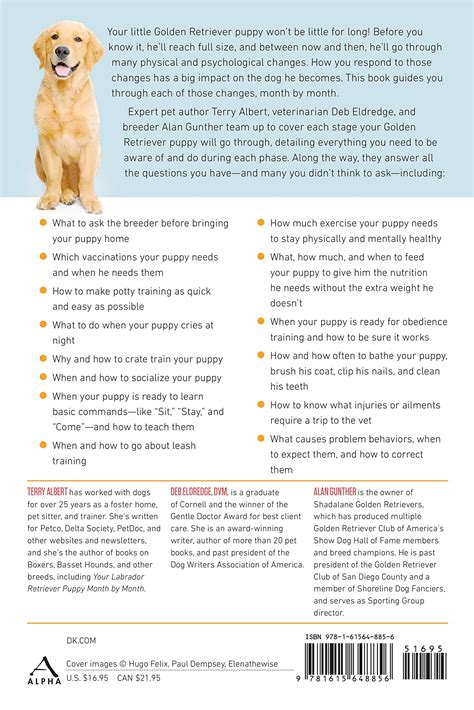 Your Golden Retriever Puppy Month By Month Everything You