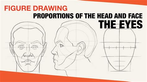 Drawing The Head Learn To Position And Size Eyes Accurately Youtube
