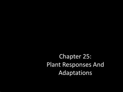 Ppt Chapter 25 Plant Responses And Adaptations Powerpoint