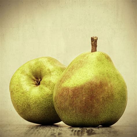 Pears Photograph By Wim Lanclus Fine Art America