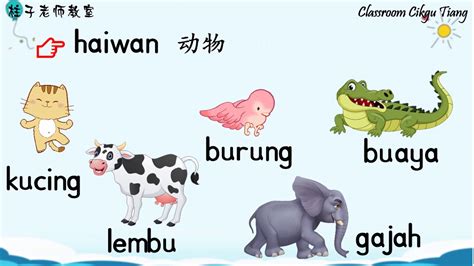 Bahasa melayu (bm) grade level: 名词：第一集 Kata Nama Am - Contoh & Ayat - YouTube