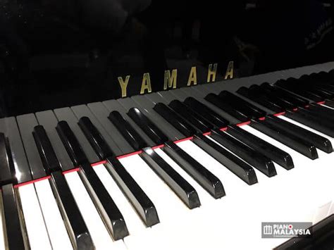 Great savings & free delivery / collection on many items. Yamaha C3 (2p) Grand Piano - View Piano Price & Specifications