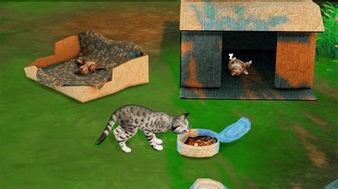 Homeless Pet Set By Thiago Mitchell At Redheadsims Sims 4 Updates