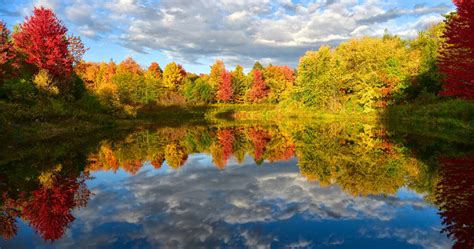 Fall Colours Are Starting To Appear In Ontario And Heres Where To Find