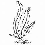 Kelp Drawing Stamp Rubber Getdrawings Drawings Paintingvalley sketch template