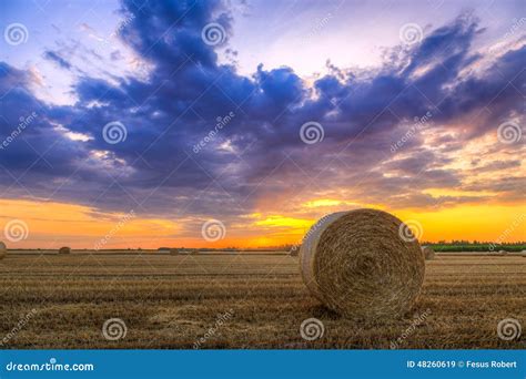 Sunset Over Farm Field With Hay Bales Stock Image Image Of Farm