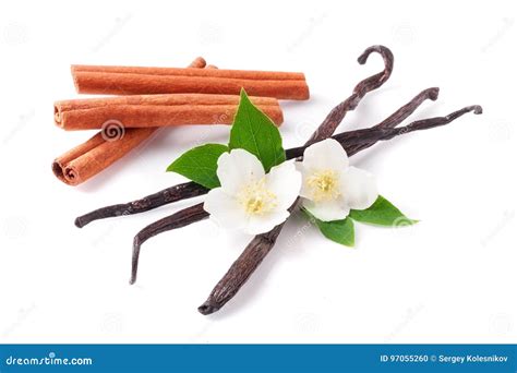 Vanilla Sticks And Cinnamon With Flower Isolated On White Background